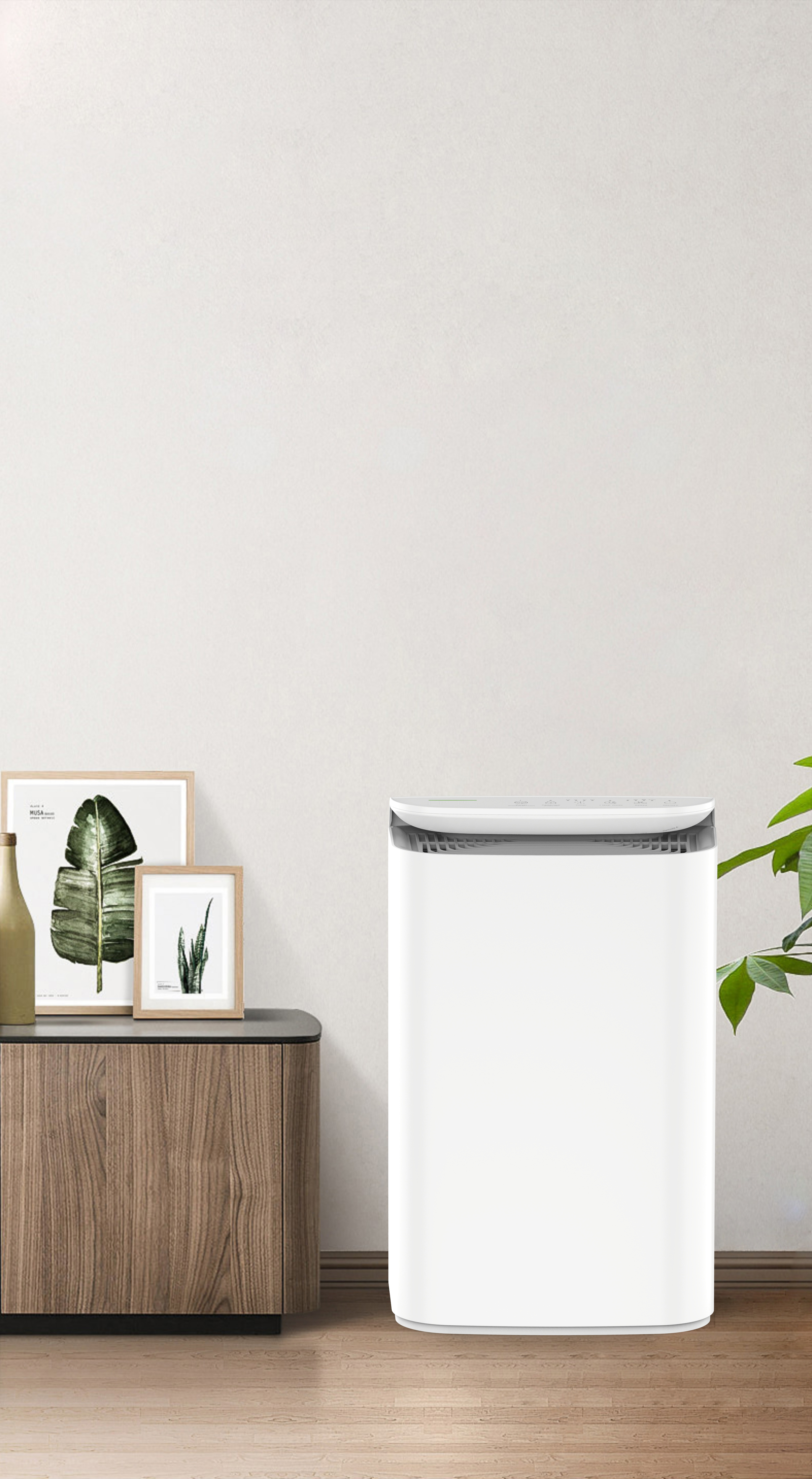 Améliorer la technologie anion