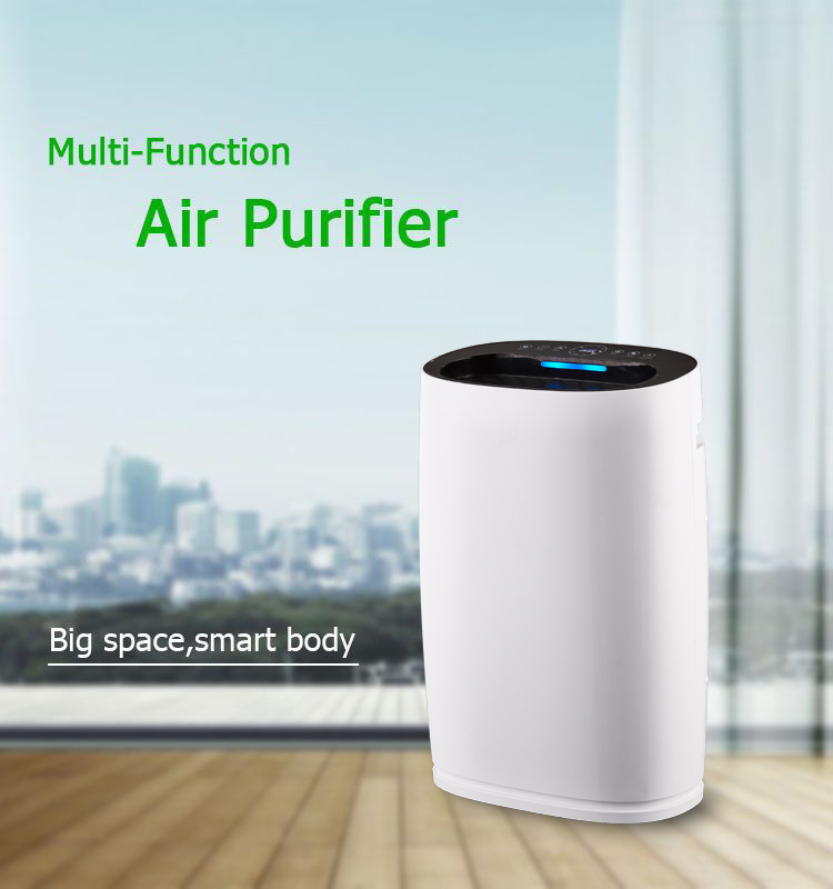 Améliorez votre espace de vie avec le purificateur d'air ionizer