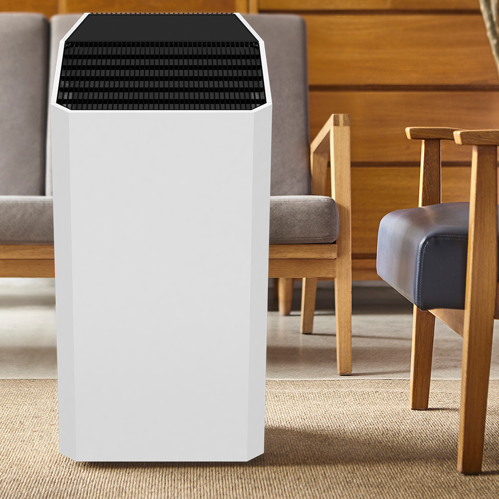 Retirer le mieux le formaldéhyde, profiter de l'air frais la plupart du BKJ-90C